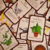 Munchkin - Imagen 4