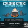 Exploding Kittens: Recipes for Disaster